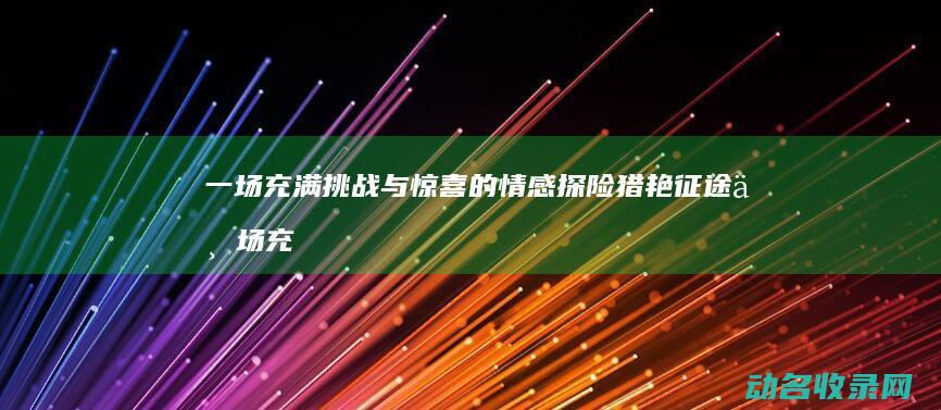 一场充满挑战与惊喜的情感探险 猎艳征途 (一场充满挑战和欢乐的冒险)