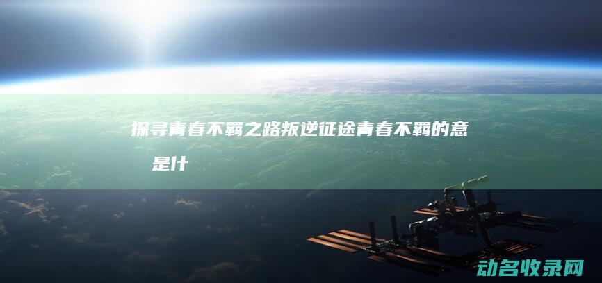 探寻青春不羁之路 叛逆征途 (青春不羁的意思是什么)